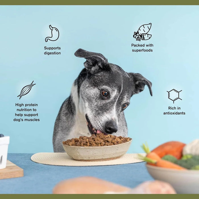 Badlands Ranch Air Dried Superfood Complete Chicken Formula Dog