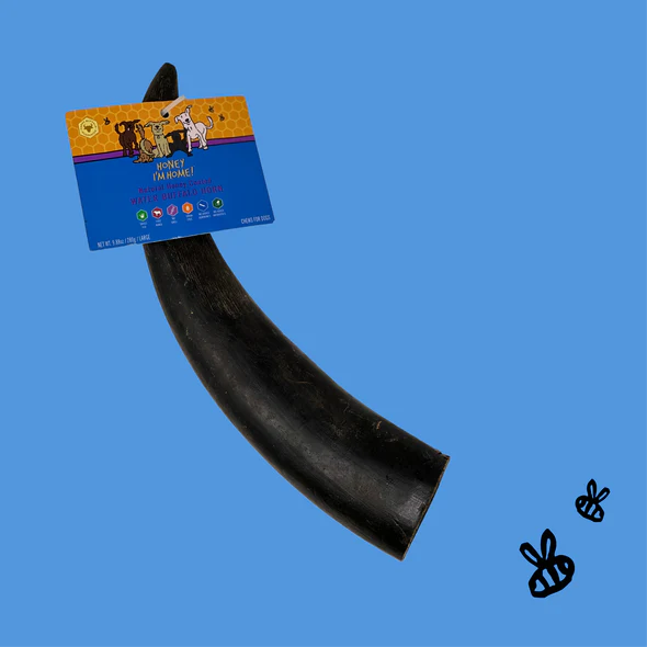 Honey I'm Home Dog Buffalo Horn Large
