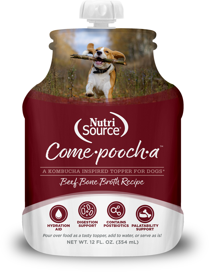 Nutrisource Come-Pooch-A Beef Broth Recipe