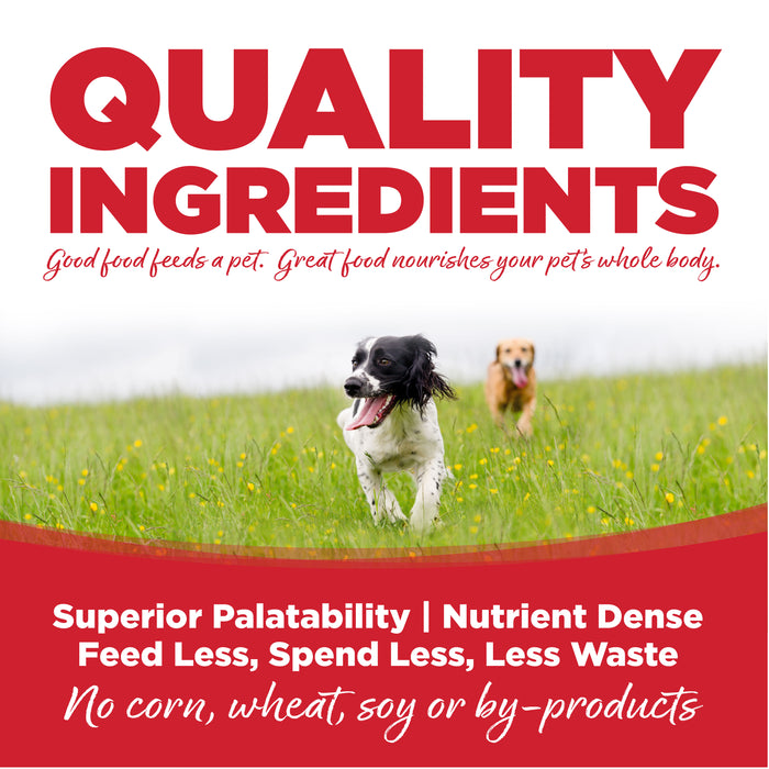 NutriSource Large Breed Beef & Rice Recipe Dry Dog Food