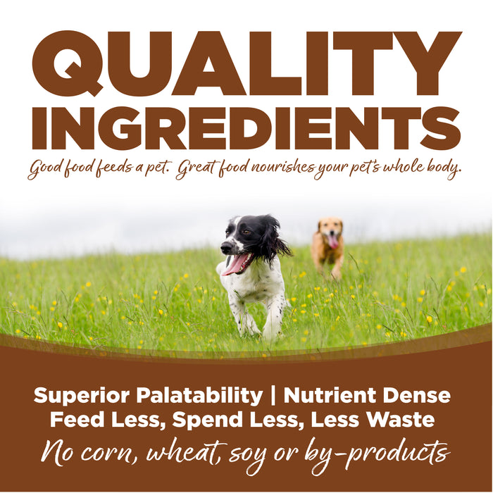 NutriSource Large Breed Adult Lamb & Rice Dry Dog Food