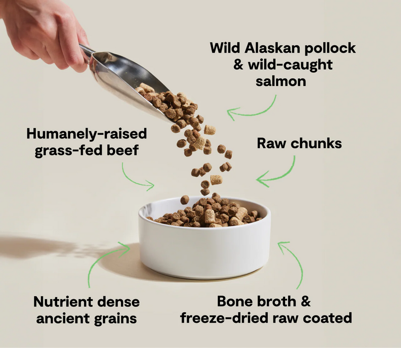 Open Farm Tide & Terrain RawMix with Ancient Grains Dog Food