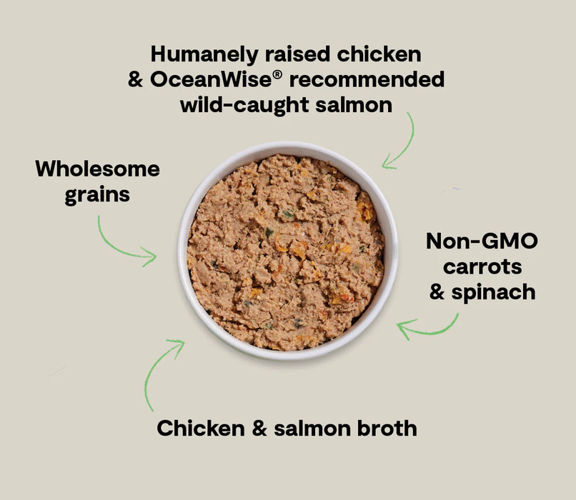 Open Farm Goodbowl Harvest Chicken & Salmon Pâté for Dogs 12.5oz