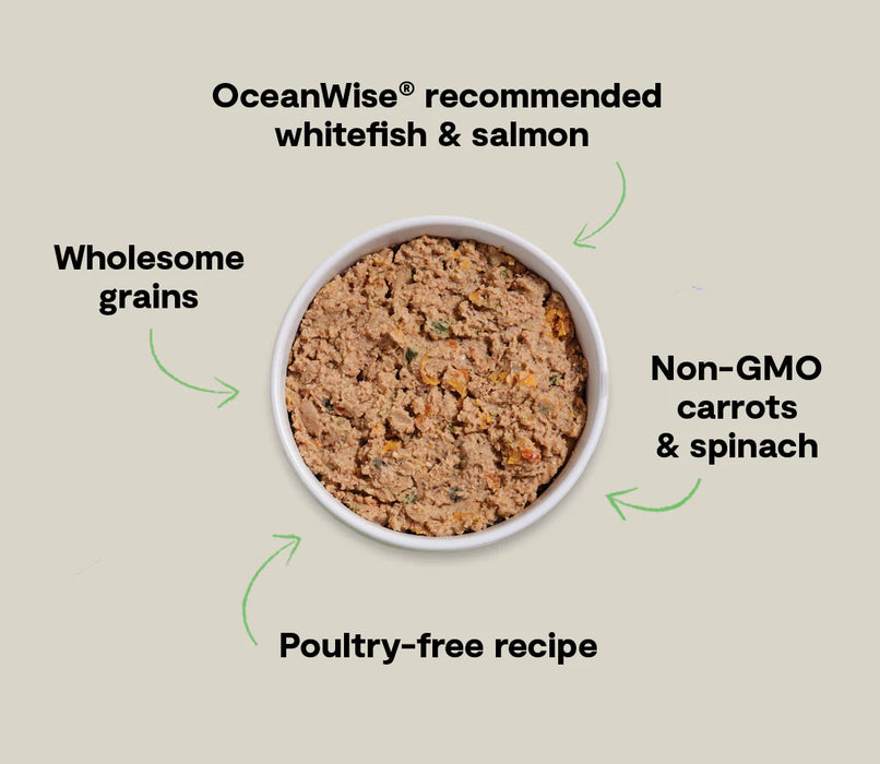 Open Farm Goodbowl Wild-Caught Whitefish & Salmon Pâté for Dogs 12.5oz