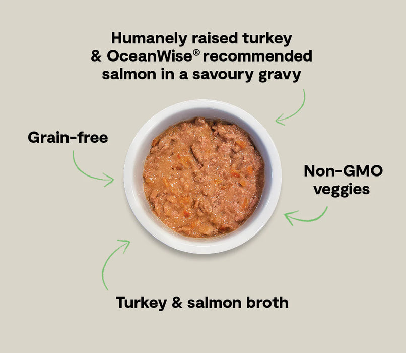Open Farm Hearty Stew Turkey & Salmon Recipe Wet Dog Food 12.5oz
