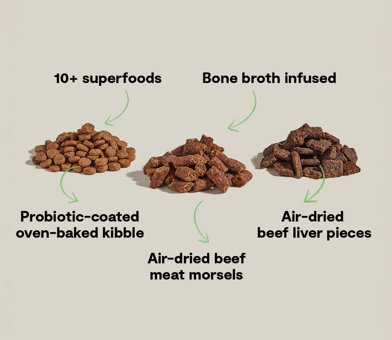 Open Farm Epic Blend Beef & Superfood Dry Dog Food