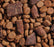 Open Farm Epic Blend Beef & Superfood Dry Dog Food