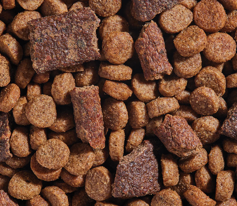 Open Farm Epic Blend Salmon & Superfood Dry Dog Food