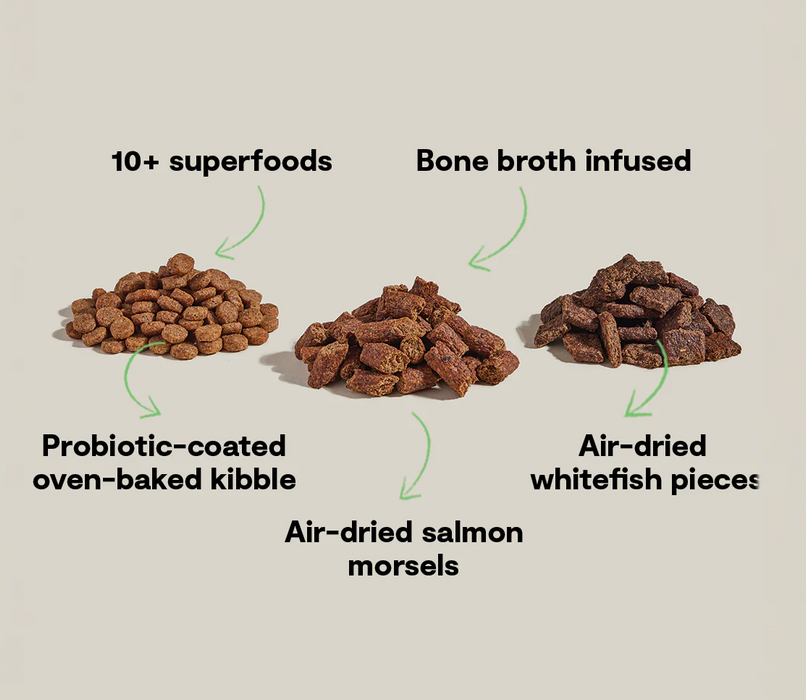 Open Farm Epic Blend Salmon & Superfood Dry Dog Food