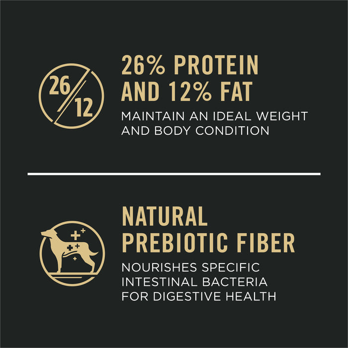Purina Pro Plan Large Breed Chicken & Rice Formula Dry Dog Food, 47 lb