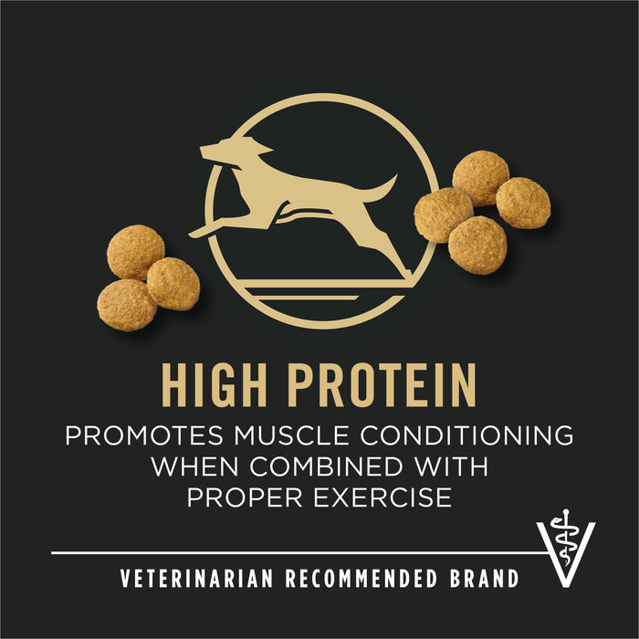 Purina Pro Plan Large Breed Chicken & Rice Formula Dry Dog Food, 47 lb