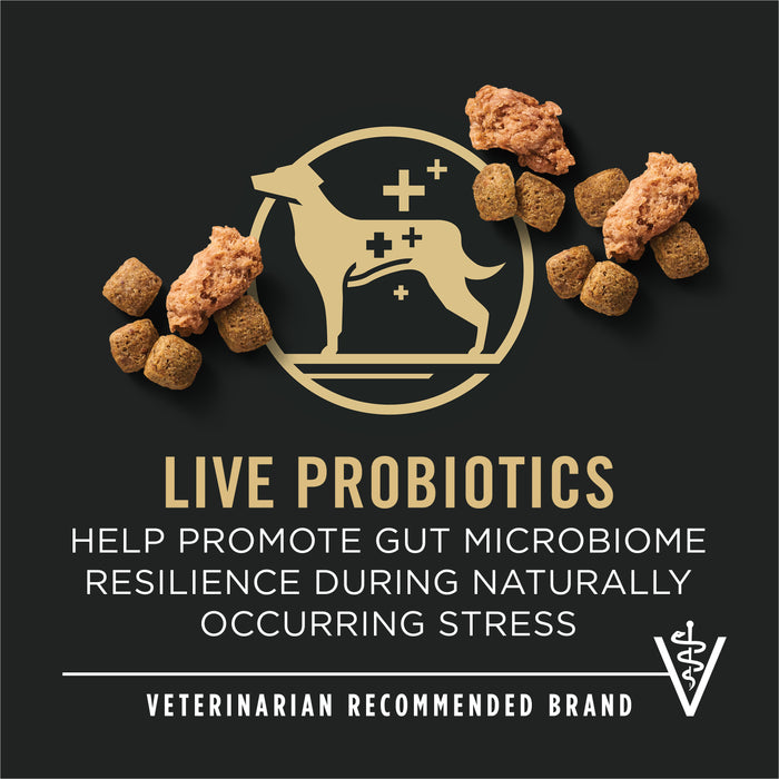 Purina Pro Plan Complete Essentials Adult 7+ Shredded Blend Beef & Rice Formula Dry Dog Food