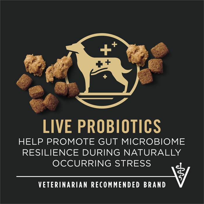 Purina Pro Plan Complete Essentials Adult 7+ Shredded Blend Chicken & Rice Formula Dry Dog Food