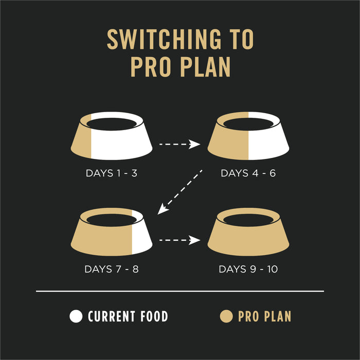 Purina Pro Plan Sensitive Skin & Stomach Lamb & Oat Meal Formula Dry Dog Food