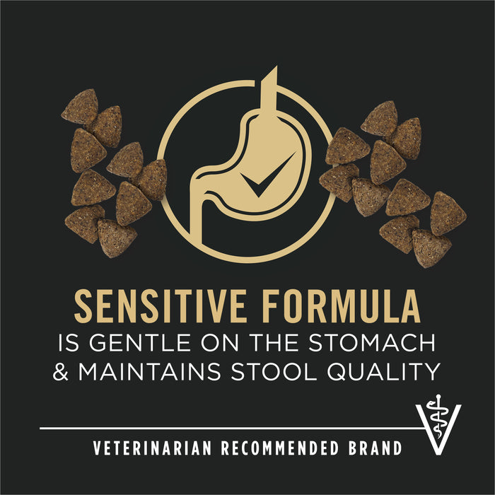 Purina Pro Plan Sensitive Skin & Stomach Salmon & Rice Formula Dry Dog Food