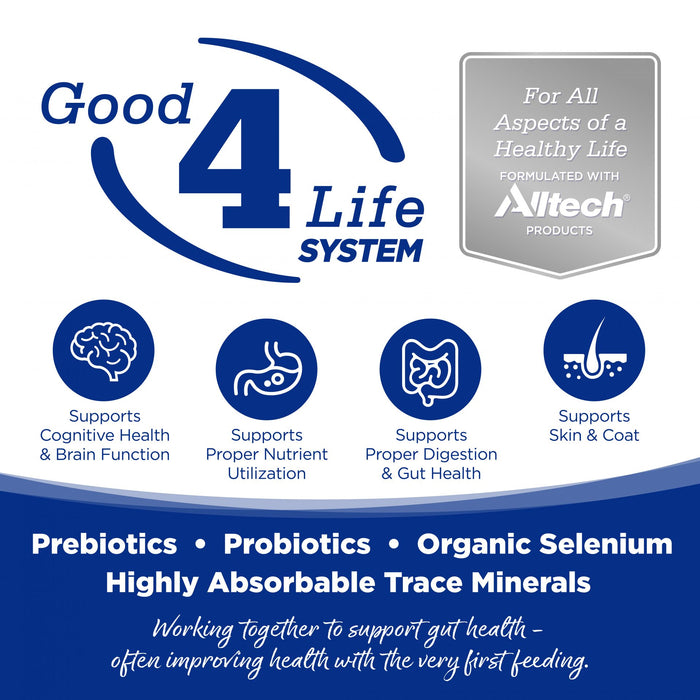 Nutrisource Trout & Rice Recipe canned dog food 12/12.3oz