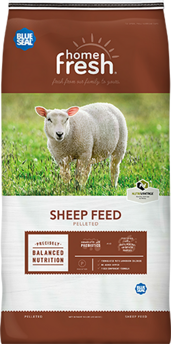 Blue Seal Sheep Pellet