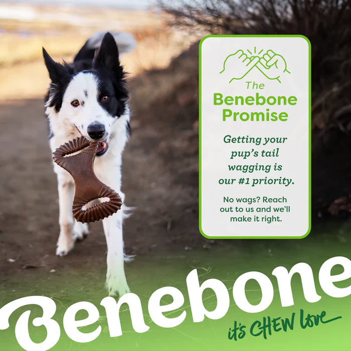 Benebone Dental Chew Durable Dog Chew Toy