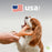 Benebone Wishbone Durable Dog Chew Toy