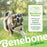 Benebone Wishbone Durable Dog Chew Toy