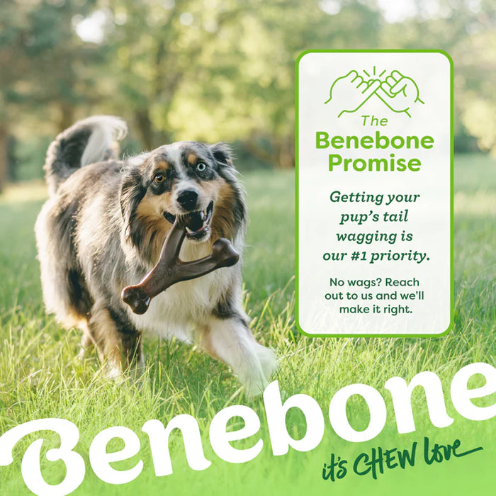 Benebone Wishbone Durable Dog Chew Toy