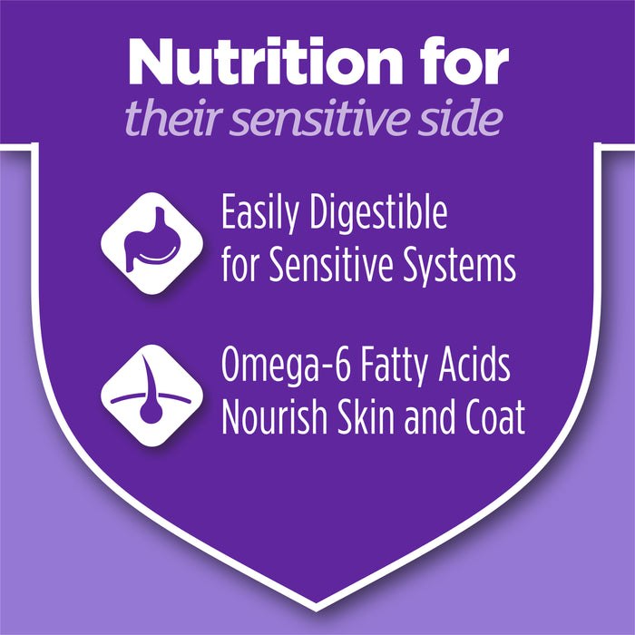 Purina Cat Chow Gentle Sensitive Stomach + Skin Dry Cat Food