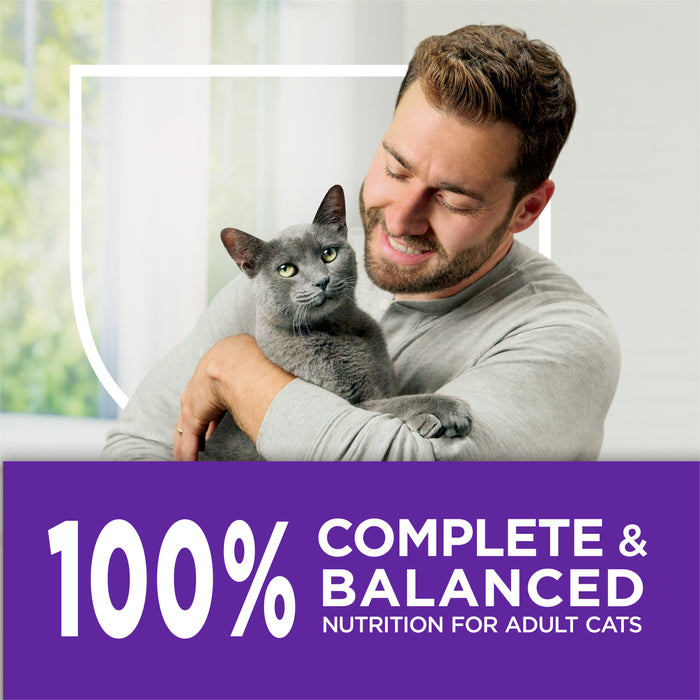 Purina Cat Chow Gentle Sensitive Stomach + Skin Dry Cat Food