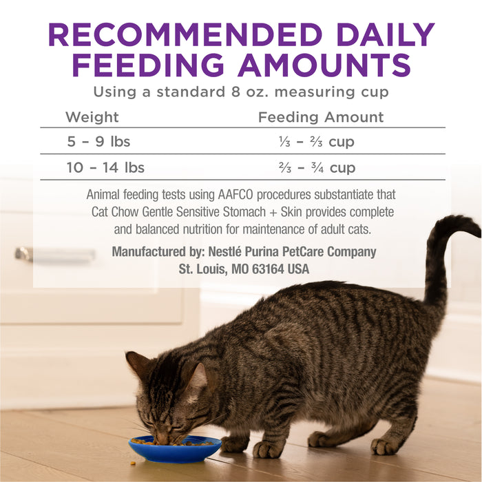 Purina Cat Chow Gentle Sensitive Stomach + Skin Dry Cat Food