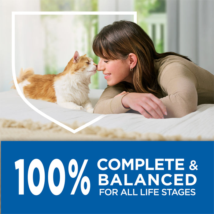 Purina Cat Chow Complete Dry Cat Food