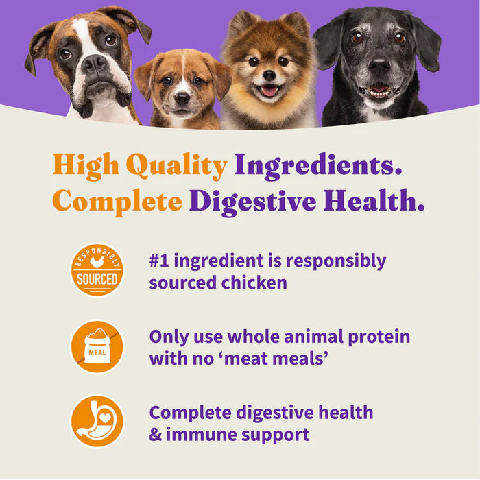 Halo Holistic Complete Digestive Health Chicken and Brown Rice Dog Food Recipe Adult Dry Dog Food