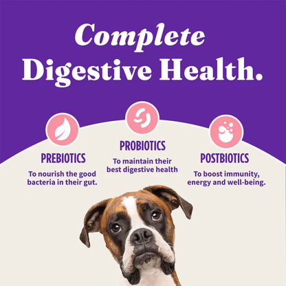 Halo Holistic Complete Digestive Health Wild-caught Salmon and Whitefish Dog Food Recipe Adult Dry Dog Food