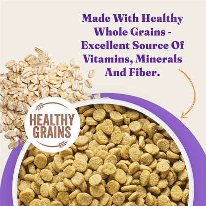 Halo Holistic Complete Digestive Health Wild-caught Salmon and Whitefish Dog Food Recipe Adult Dry Dog Food