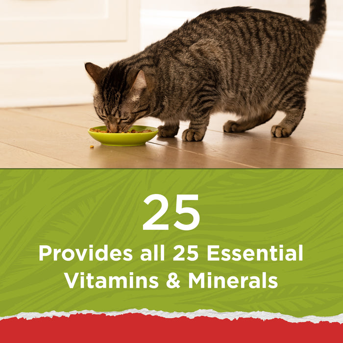 Purina Cat Chow Naturals Original Dry Cat Food