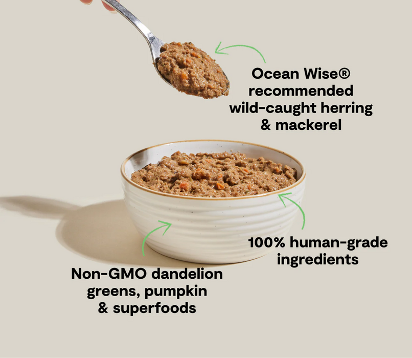 Open Farm Rustic Blend Wet Cat Food, Grain Free Herring and Mackerel, 5.5 Ounces