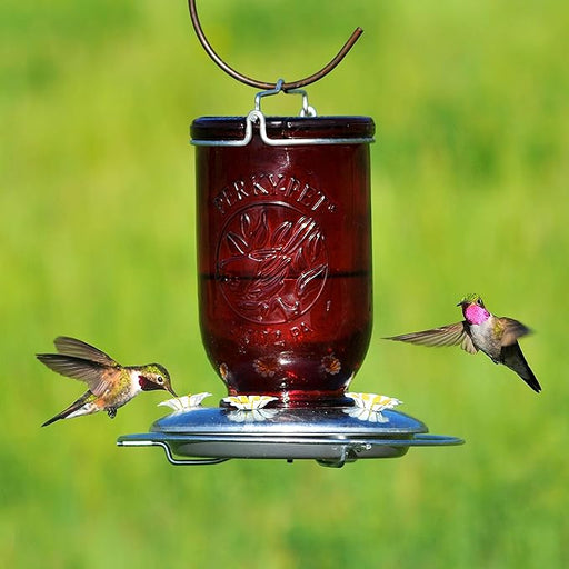 Perky-Pet Red Mason Jar Vintage Glass Hummingbird Feeder – 32 oz