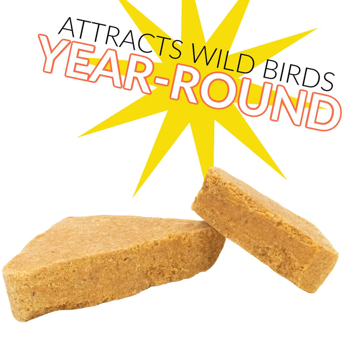 C&S Hot Pepper Suet No Melt - 11.75 OZ