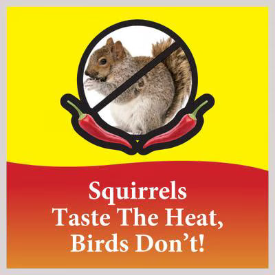 Wild Delight Advanced Sizzle N Heat Suet - 11.75 OZ