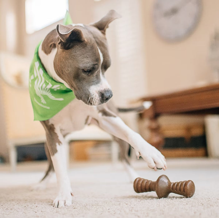 Benebone Zaggler Durable Dog Chew Toy