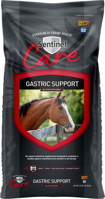 Blue Seal Sentinel Care Gastric Support