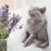 Naturally Fresh Harmony™ Lavender & Bamboo Clumping Walnut Cat Litter