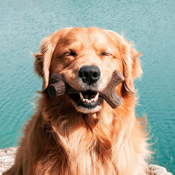 Benebone Stick Durable Dog Chew Toy