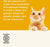 Applaws Natural Chicken Breast with Pumpkin in Broth Wet Cat Food (Case of 24)