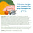 Almo Nature Classic Complete Chicken Recipe with Ocean Fish and Pumpkin in Gravy Cat Food Can
