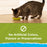 Purina Cat Chow Indoor Healthy Weight + Hairball Control Dry Cat Food