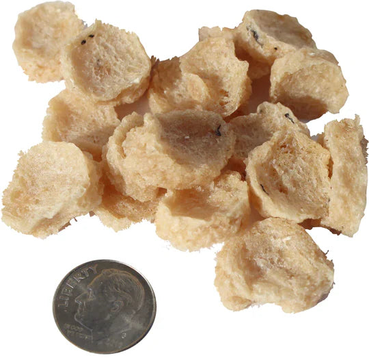 Icelandic+ Cod Mini Chips Dog Treats 9oz