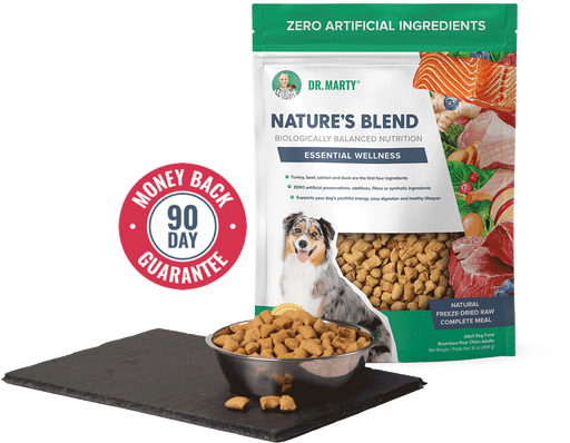 Dr. Marty Nature's Blend Essential Wellness Freeze Dried Raw Dog 48 oz