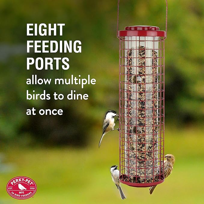 Perky-Pet Squirrel Resistant Easy Feeder