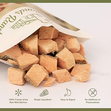 Badlands Ranch Air Dried Superfood Bites Salmon Dog Treats 4 oz