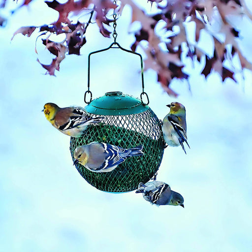 Perky-Pet Seed Ball Wild Bird Feeder