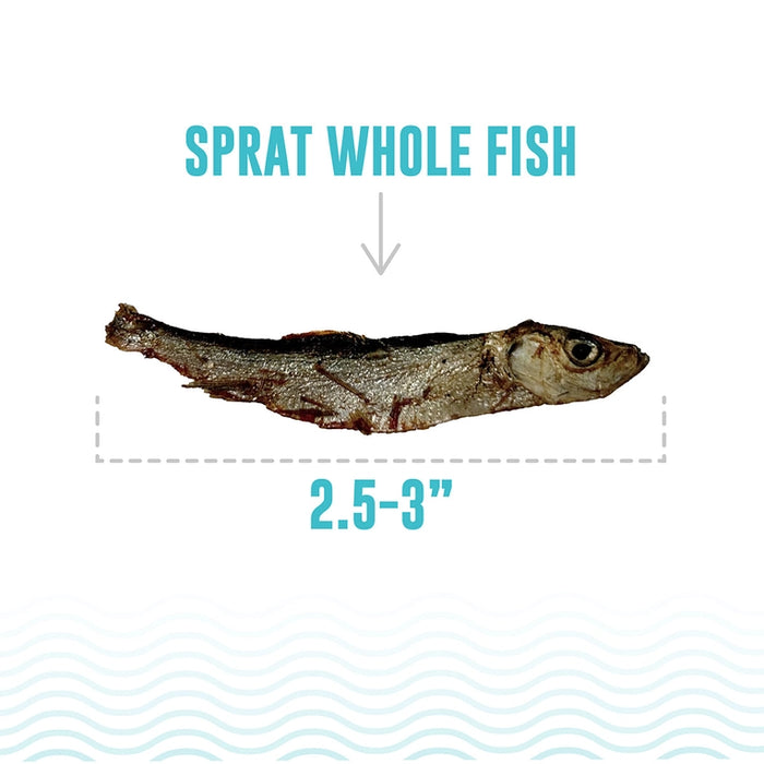 Icelandic+ Whole Fish Sprat Dog Treat 2oz